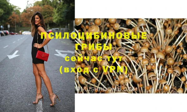 PSILOCYBIN Баксан