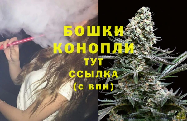 PSILOCYBIN Баксан