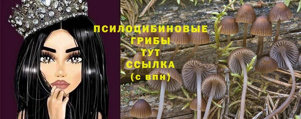 PSILOCYBIN Баксан