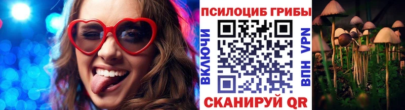 Галлюциногенные грибы ЛСД  Верея 