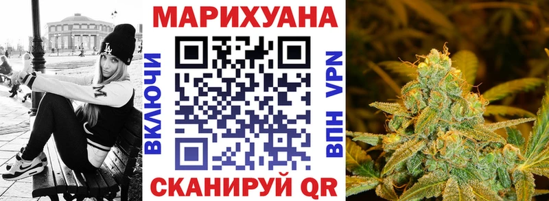 Каннабис OG Kush Верея